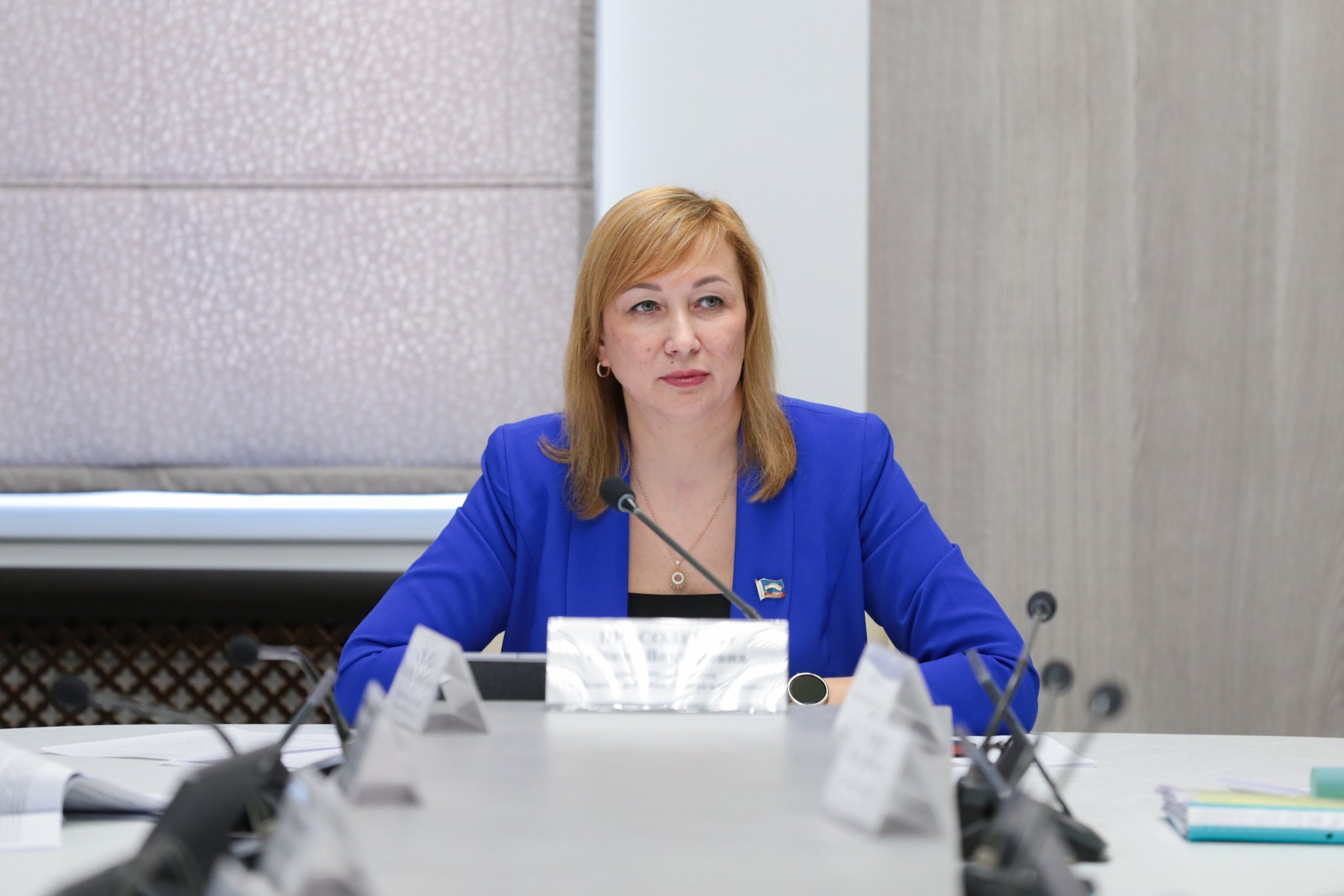 В Думе прошло заседание комитета по бюджету, финансам, налогам и экономике под председательством Ирины Просоленко 