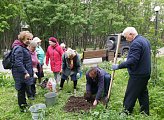 Уважаемые земляки! Мурманчане, особенно старшего поколения, бережно относятся к городским зеленым насаждениям. Во многих дворах высажены цветы, которые являются украшением нашего северного города