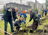 В Мурманске прошла акция «Зеленый рекорд»