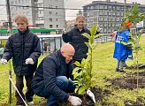 В Мурманске прошла акция «Зеленый рекорд»