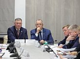 Профильные комитеты регионального парламента обсуждают проект областного бюджета на 2025 год