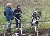 Уважаемые земляки, 12 сентября вместе с неравнодушными мурманчанами разных возрастов традиционно принял участие в общегородской акции "Зеленый рекорд"