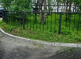 Работы по покосу травы выполнены возле домов 7 и 9 по улице Гвардейская, 19 и 21 по улице Ленина, 72, 74 и 76 по проспекту Ленина, 3 по улице Самойловой