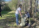 Роман Пономарев принял участие в субботнике во дворах домов 18 на проспекте Ленина и 5 на улице Полярной Дивизии в Мурманске