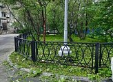 Работы по покосу травы выполнены возле домов 7 и 9 по улице Гвардейская, 19 и 21 по улице Ленина, 72, 74 и 76 по проспекту Ленина, 3 по улице Самойловой