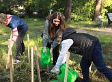 Региональные парламентарии приняли участие в акции "Зеленый рекорд"
