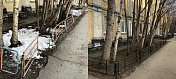Роман Пономарев добился замены ограждений в палисадниках дома №15 по улице Книповича