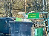 Роман Пономарев провел встречу с жителями домов №38 и №40 на улице Кирова