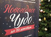 Депутаты областной Думы приняли участие в благотворительной акции "Новогоднее чудо"