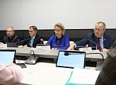 Комитет областной Думы по культуре, молодежной политике, туризму и спорту рекомендовал принять проект областного бюджета в первом чтении