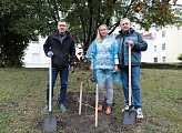 Депутаты регионального парламента приняли участие в ежегодной городской акции "Зеленый рекорд"