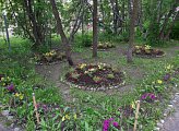 Уважаемые земляки, 15 июня вместе с депутатом Совета депутатов города Мурманска Андреем Анатольевичем Савенковым провели встречу с жителями микрорайона дома № 106 по Кольскому проспекту