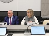 В областной Думе прошло заседание комитета по культуре, молодежной политике, туризму и спорту под председательством Германа Иванова