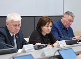 В Думе прошло заседание комитета по бюджету, финансам, налогам и экономике под председательством Ирины Просоленко 