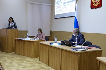 Дума приняла законы по поддержке ряда отраслей экономики и субъектов малого и среднего предпринимательства Мурманской области