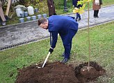 Сергей Дубовой: Побратимские связи – это живые нити дружбы 