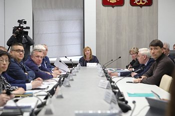 В Думе прошло заседание комитета по бюджету, финансам, налогам и экономике под председательством Ирины Просоленко