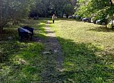 Работы по покосу травы выполнены возле домов 7 и 9 по улице Гвардейская, 19 и 21 по улице Ленина, 72, 74 и 76 по проспекту Ленина, 3 по улице Самойловой