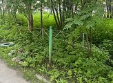 Роман Пономарев встретился с жителями дома №18 на улице Коммуны