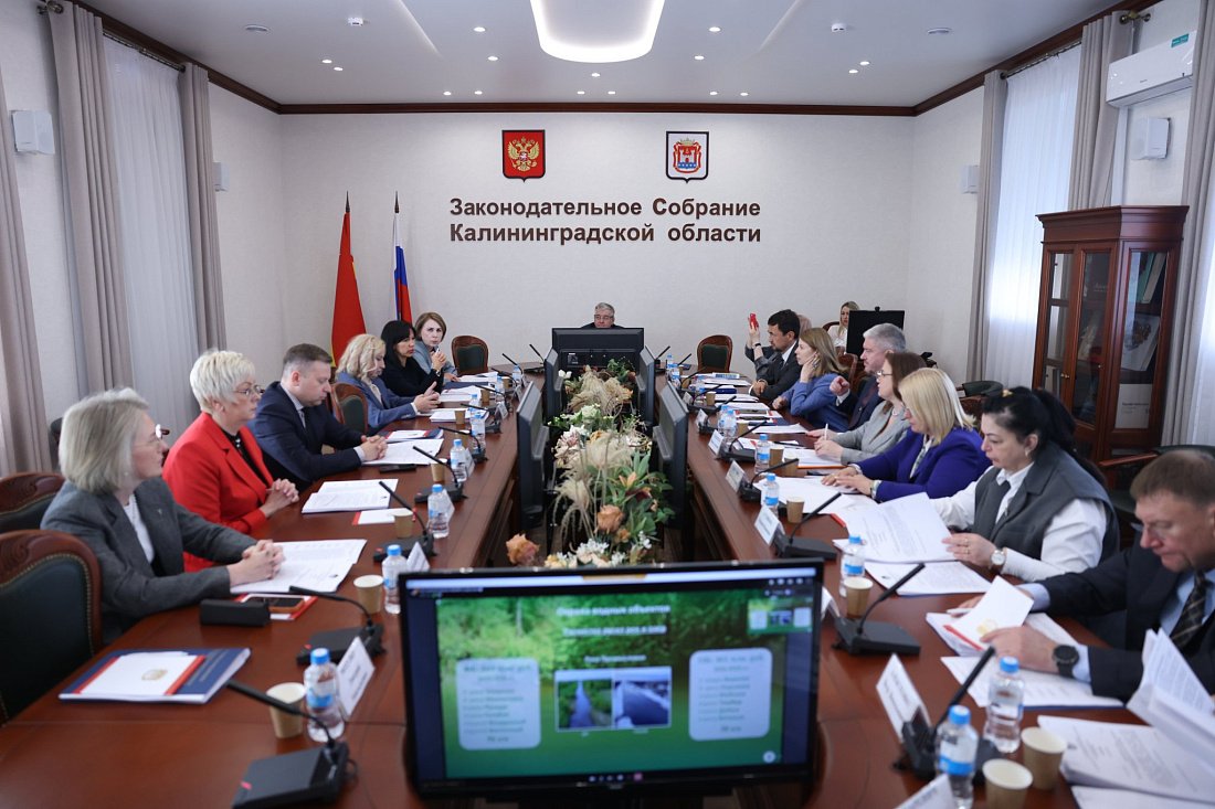 В Калининграде состоялось заседание постоянного комитета по экологии Парламентской Ассоциации Северо-Запада России