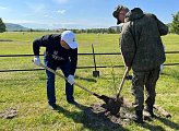 Региональные парламентарии приняли участие в акции "Сад памяти"