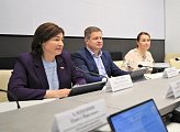 Молодежный парламент отчитался перед депутатами