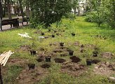 Региональные парламентарии приняли участие в акции "Зеленый рекорд"