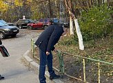 Роман Пономарев : ограждения в палисадниках дома №4 по улице Самойловой заменены на новые благодаря проекту "Инициативы двора"