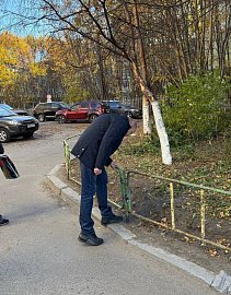 Роман Пономарев : ограждения в палисадниках дома №4 по улице Самойловой заменены на новые благодаря проекту "Инициативы двора"