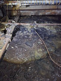 Замкнутый круг проблем в Лейпи