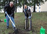 Депутаты регионального парламента приняли участие в ежегодной городской акции "Зеленый рекорд"