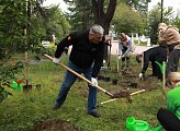 Региональные парламентарии приняли участие в акции "Зеленый рекорд"