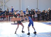 В Мурманске стартовали областные соревнования по спортивной борьбе 