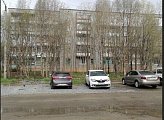 О вырубке деревьев в Ковдоре