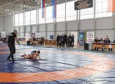 В Мурманске проходят областные соревнования по спортивной борьбе