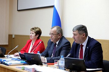 Владимир Мищенко принял участие в очередном заседании Думы