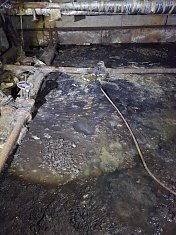 Прием в Лейпи 1 апреля 2026 года