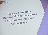 Депутаты обсудили меры поддержки северян старшего поколения   