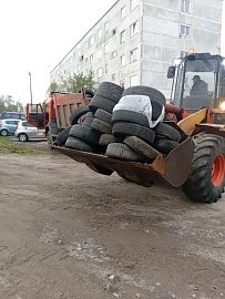Роман Пономарев: контейнерные площадки  у домов  №37, 38, 39, 41 а также №56, 57 по улице Орликовой полностью очищены от опасных отходов