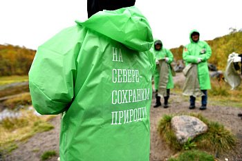 Общая работа по сохранению арктической природы дает результаты