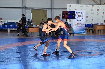 В Мурманске стартовали областные соревнования по спортивной борьбе 