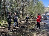 Роман Пономарев принял участие в субботнике во дворах домов 18 на проспекте Ленина и 5 на улице Полярной Дивизии в Мурманске