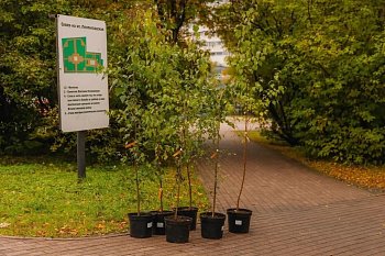 В Мурманске прошла акция «Зеленый рекорд»