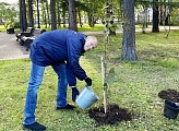 Роман Пономарев вместе со своей семьей принял участие в ежегодной акции по посадке деревьев «Зелёный рекорд»
