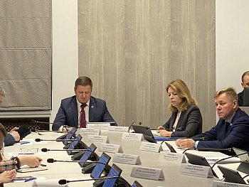 Состоялось заседание комитета областной Думы по социальной политике и делам семьи под председательством Станислава Гонтарь.