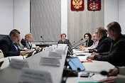 Состоялось заседание комитета по культуре, молодежной политике, туризму и спорту под председательством Ларисы Кругловой