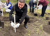 В Мурманске прошла акция «Зеленый рекорд»