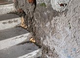 Депутат Мурманской областной Думы Александр Клементьев снова раскритиковал бездействие властей и коммунальщиков в Лейпи