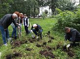 Региональные парламентарии приняли участие в акции "Зеленый рекорд"