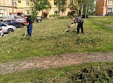 Работы по покосу травы выполнены возле домов 7 и 9 по улице Гвардейская, 19 и 21 по улице Ленина, 72, 74 и 76 по проспекту Ленина, 3 по улице Самойловой